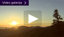 Video galerija
