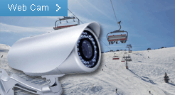Web cam